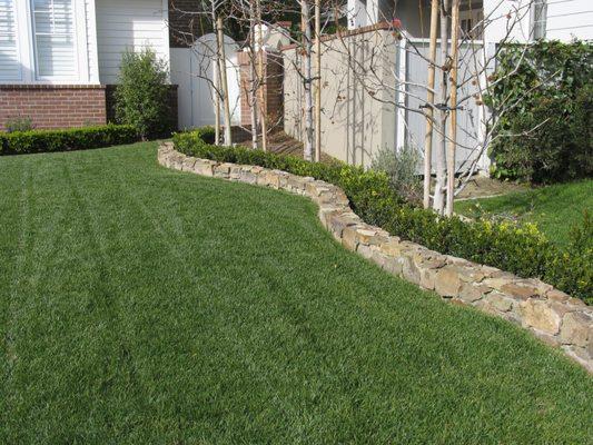 Stone border in front garden