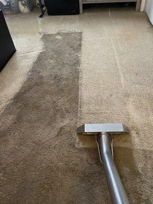 Supascrub Carpet Care