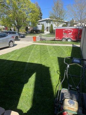 Spring cleaning we include with aeration for your lawn.