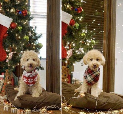 Before & after the TRIM :)