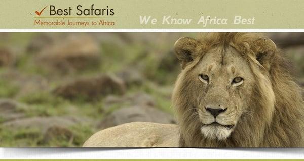 Best Safaris | Memorable Journeys to Africa