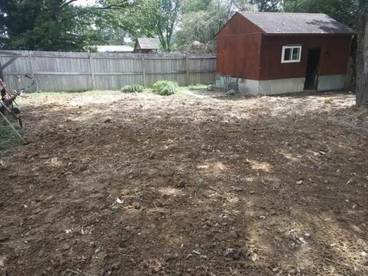 Backyard I leveled out and sowed in grass