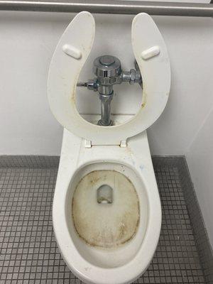 Another toilet