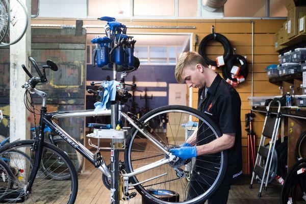 We work on all models of bikes in our service area.