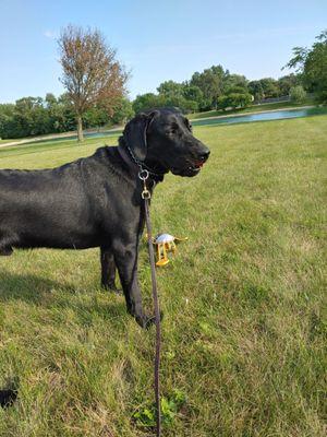 Remington Lakeview Park