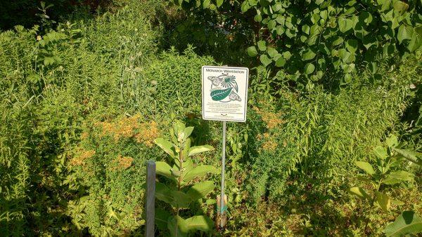 Monarch Butterfly Refuge