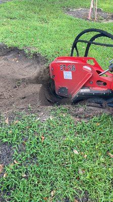 Stump removal