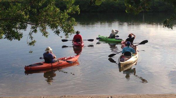 Guided Kayak Eco Tours led by a Florida Master Naturalist.