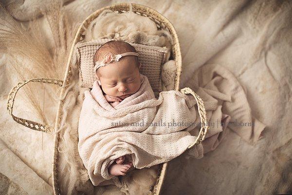 hagerstown newborn photos