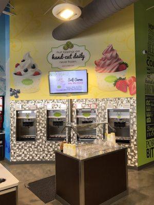 8 flavors of frozen yogurt Fresh cut fruits as toppings