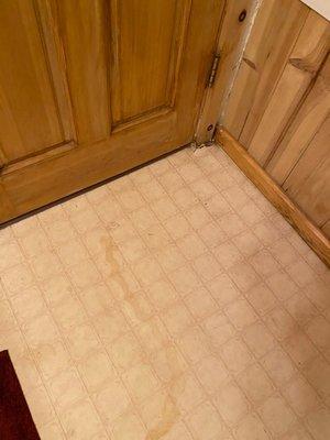 Stains on the bathroom floors. This particular spot was also soft which leads me to believe there's extensive water damage.