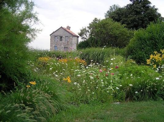 Green Surrounding