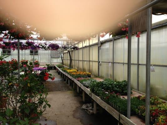 Neitzerts Greenhouse