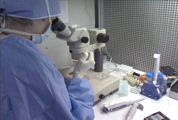 Laboratory Analysis