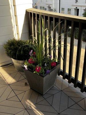 Patio planter update