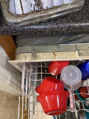 Broken dishwasher that they won't replace.