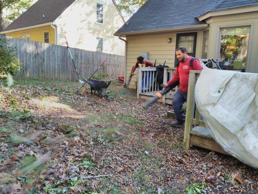 Leaf Clean-up