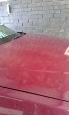 The messed up paint job on my car from MAJESTIC CAR CARE