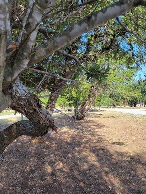 Inside the campground