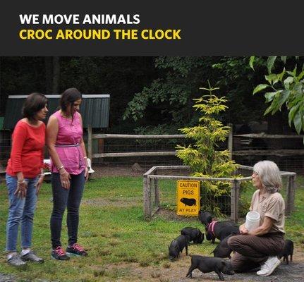 Animals Away featured on Nat Geo Wild's We Move Animals