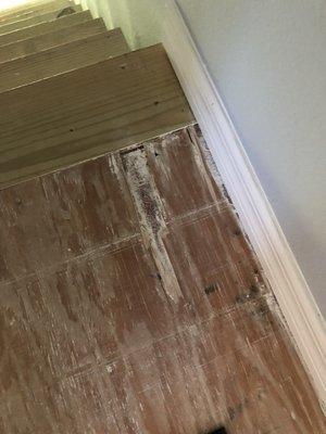 Huge gouge in the plywood flooring.  These are the unfinished stairs that lead from underneath the home to the living area.