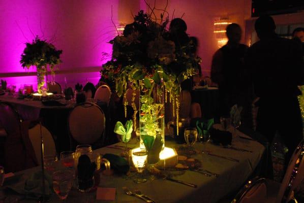 LED Centerpieces