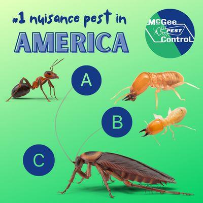 We mange all of your Pest Control problems. 270-885-2847.