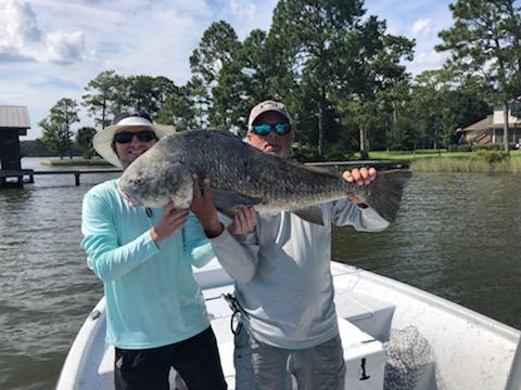 Stud Black Drum