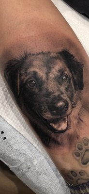 Dog tattoo portrait