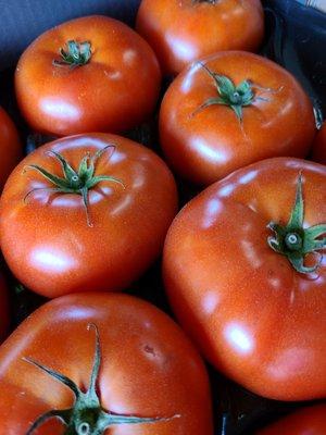 Tomatoes and other garden vegetables, fresh and reasonably priced.