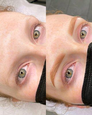 Microshaded Brows by Holly - Before (left) and After (right)