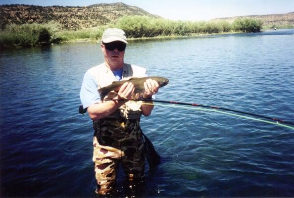 San Juan River Rainbow Trout