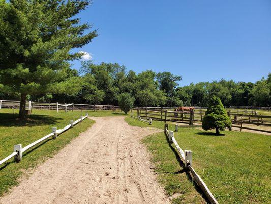 Another blue sky watching over Brookville Farms!