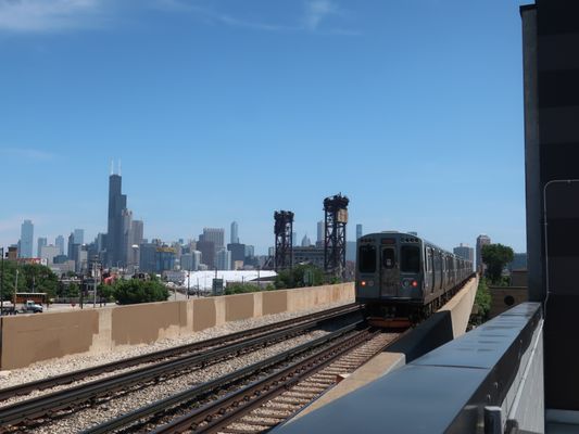 CTA - Halsted [Orange]