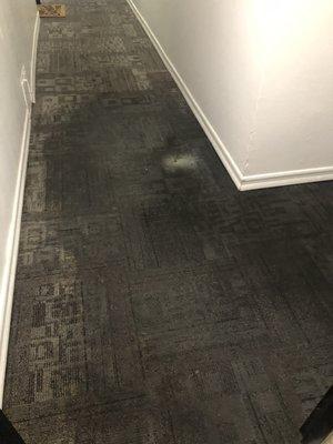 Because the water got backed up, it nearly soaked all the hallways