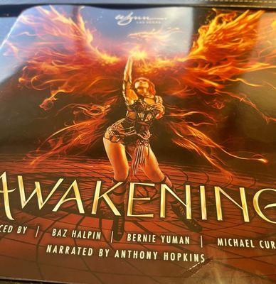 The program page of Awakening