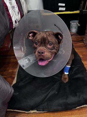 This is her after her surgery