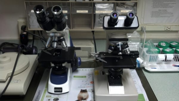 Microscopes in our in-house laboratory