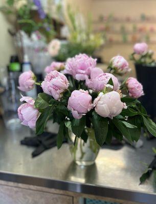 Peonies from Knodt's Flower Shop