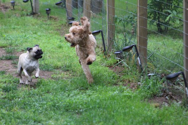 Lily and Legund are having a great  time