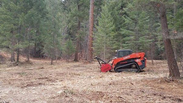 A shaded fuel break for new home site after Mulching