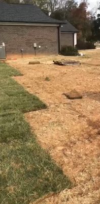 Sod Installation