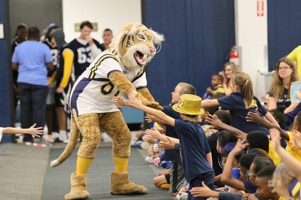 Wiley the Wildcat at all school Pep Rally. The fun never stop!