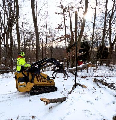 Tree emergency service for commercial customer.