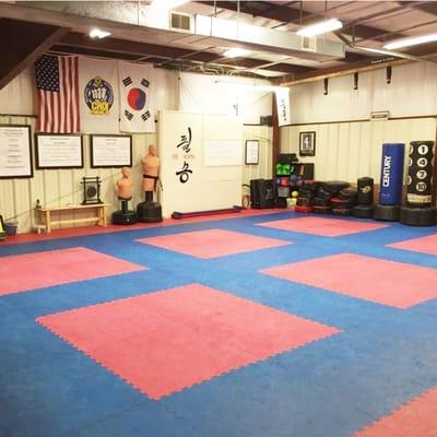 Large main training area with padded flooring and a wide variety of training equipment.