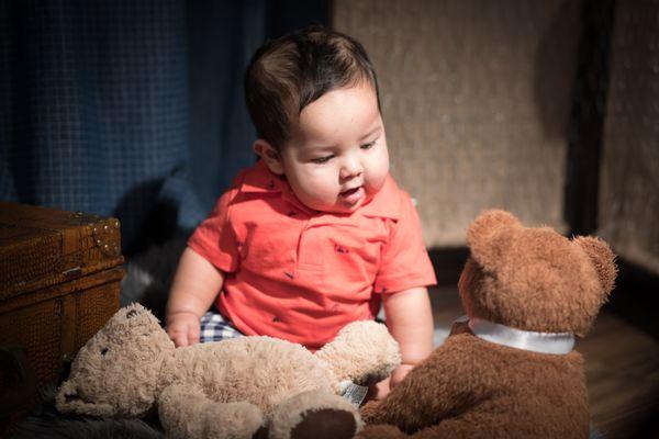 Teddy bear council.  6 month old  in charge.