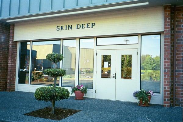 Skin Deep By Nancy Sears