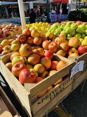 Great Selection of Apples....for the taking!