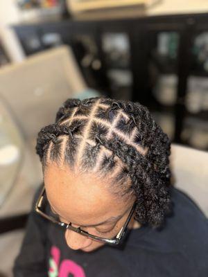 Two Strand Twist