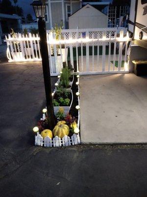 Herb garden with some seasonal accents.